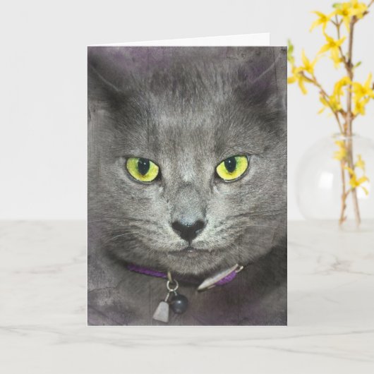 Carte Chat d'anniversaire (Fleur jaune)