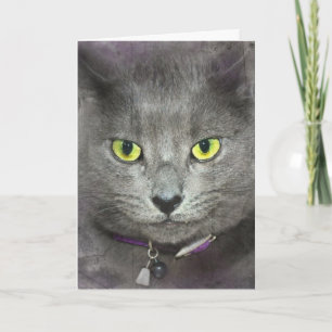 Carte Chat d'anniversaire