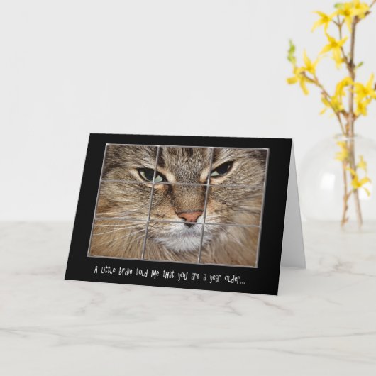 Carte Chat d'anniversaire (Fleur jaune)