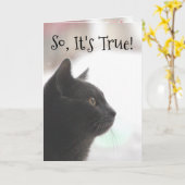 Carte Chat d'anniversaire amusante (Fleur jaune)