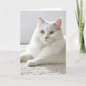 Carte Chat d'Anniversaire Blanc Sur Tapis Blanc (Devant)