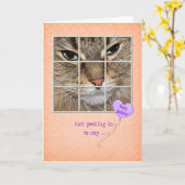 Carte Chat d'anniversaire dans la fenêtre (Fleur jaune)