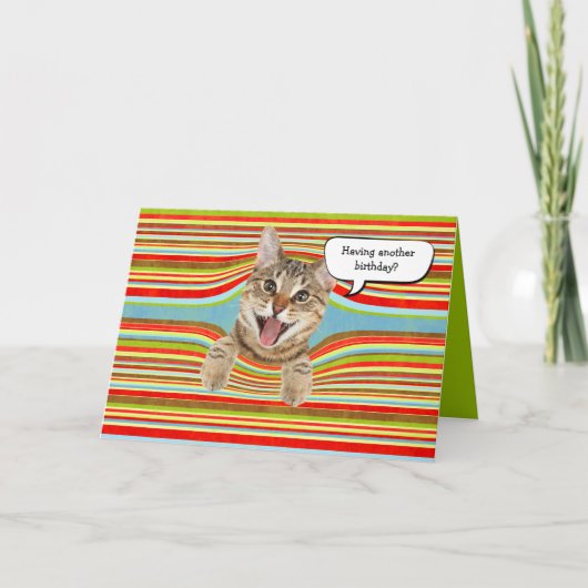 Carte Chat d'anniversaire en bandes (Devant)