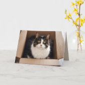 Carte Chat d'anniversaire en carton (Fleur jaune)