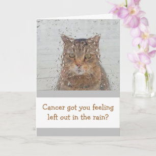Carte Chat Dans La Pluie Cancer Support