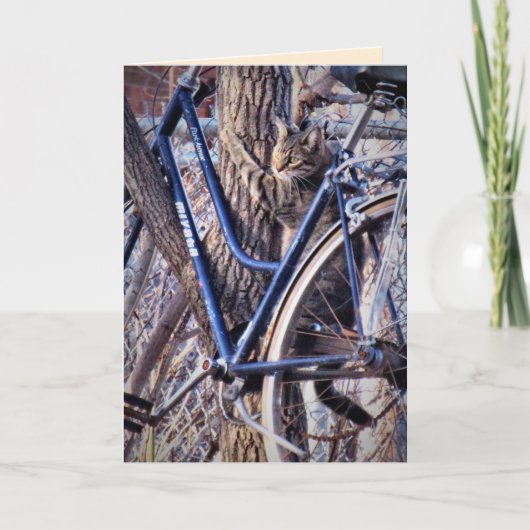 Carte Chat dans l'arbre avec bicyclette Chats mignons dr (Devant)