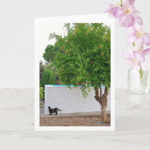Carte Chat dans le portrait de jardin