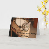 Carte Chat dans un sac cadeau (Fleur jaune)