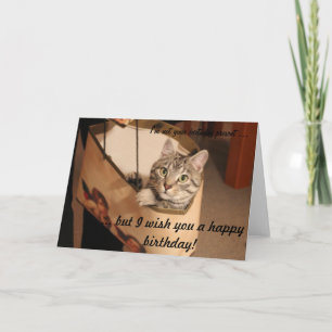 Carte Chat dans un sac cadeau