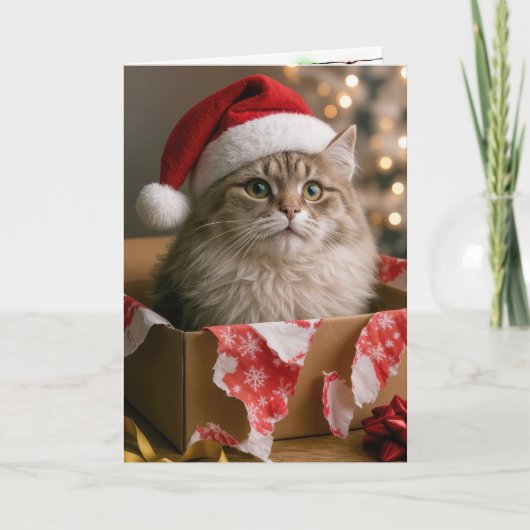 Carte Chat dans une boîte de cadeau de Noël (Devant)