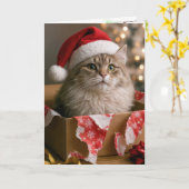 Carte Chat dans une boîte de cadeau de Noël (Fleur jaune)
