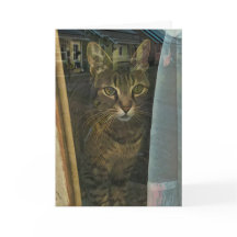 Chat dans une fenêtre réfléchissant des pensées de