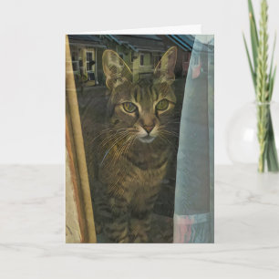 Carte Chat dans une fenêtre réfléchissant des pensées de