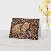 Carte Chat d'automne (Fleur jaune)