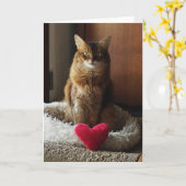 Carte Chat de coeur Somalien Chat Saint Valentin (Fleur jaune)