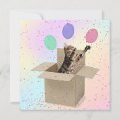Carte Chat de fête d'anniversaire surprise dans la boîte (Devant)