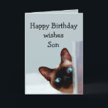 Carte Chat de Fun Son Birthday<br><div class="desc">Amusant Fils Anniversaire Souhaite Siamese Chat Animal Humour vous vers le haut. Parfait pour ce Fils dans votre vie avec un sens de l'humour,  un amour des chats et un anniversaire</div>