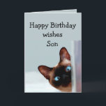 Carte Chat de Fun Son Birthday<br><div class="desc">Amusant Fils Anniversaire Souhaite Siamese Chat Animal Humour vous vers le haut. Parfait pour ce Fils dans votre vie avec un sens de l'humour,  un amour des chats et un anniversaire</div>