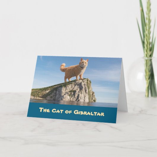 Carte Chat de Gibraltar (Devant)