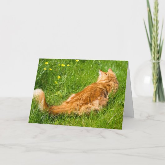 Carte Chat De Gingembre Au Printemps (Devant)