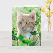 Carte Chat de gingembre avec yeux verts en herbe (Fleur jaune)