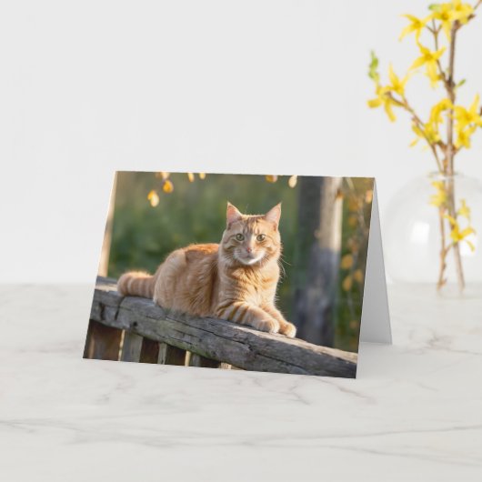 Carte Chat de gingembre sur une clôture rustique (Fleur jaune)