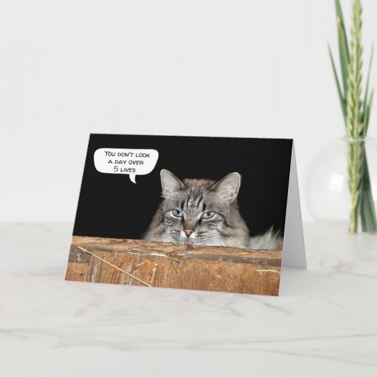 Carte Chat de grange dans un anniversaire de grenier à f (Devant)