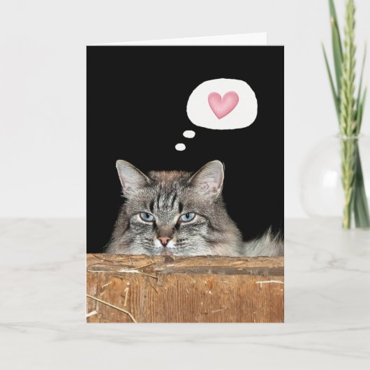 Carte Chat de grange pense à toi (Devant)