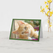 Carte Chat de Kitty - Mlle You Card de chaton (Fleur jaune)