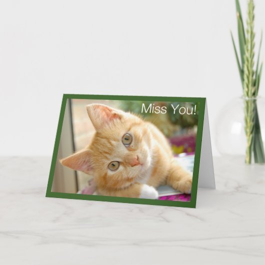 Carte Chat de Kitty - Mlle You Card de chaton (Devant)