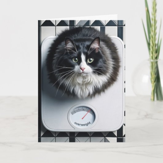 Carte Chat de l'humour de perte de poids sur une échelle (Devant)