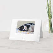 Carte Chat de luxe réfléchi (Dos)