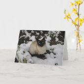Carte Chat de neige (Fleur jaune)