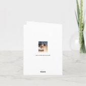 Carte Chat de neige - Profil de la pointe bleue de Siame (Dos)