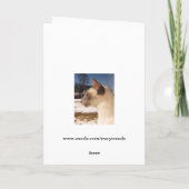 Carte Chat de neige - Profil de la pointe bleue de Siame (Dos)