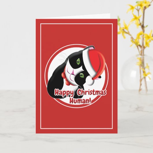 Carte Chat de Noël (Fleur jaune)