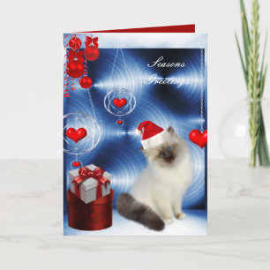 Carte Chat de Noël Fluffy Blanc Gris