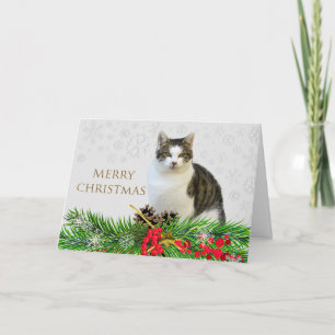 Carte Chat de Noël joyeux avec verdure de vacances 
