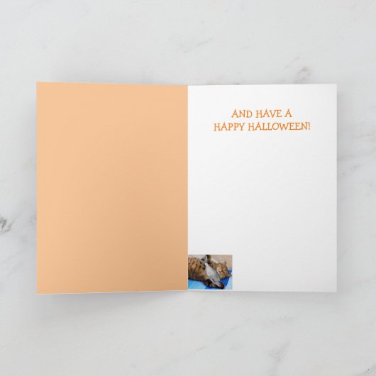 Carte Chat De Pirate Et Halloween De Poisson (Intérieur)