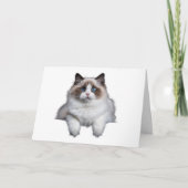 Carte Chat de poupée mignonne (Devant)