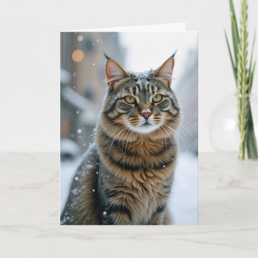 Carte Chat De Rue Anniversaire En Neige (Devant)
