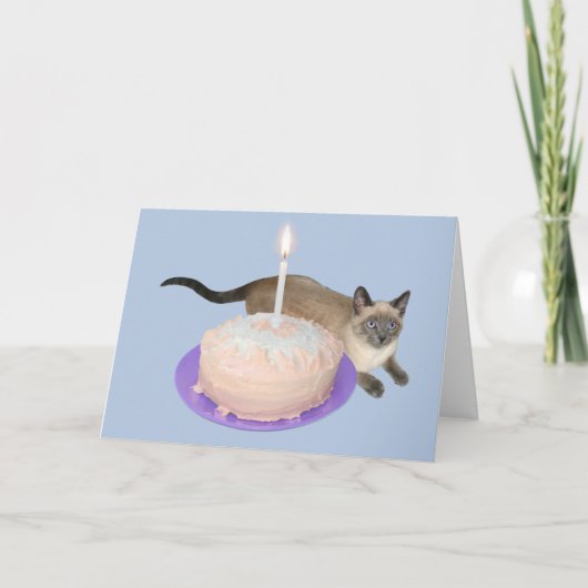 Carte Chat de Siamese avec gâteau d'anniversaire (Devant)