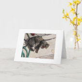 Carte Chat de Sun (Fleur jaune)