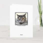 Carte Chat de Tortoiseshell gris et orange Joyeux annive (Dos)