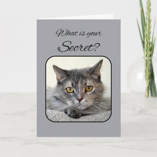 Carte Chat de Tortoiseshell gris et orange Joyeux annive (Devant)