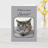 Carte Chat de Tortoiseshell gris et orange Joyeux annive (Fleur jaune)
