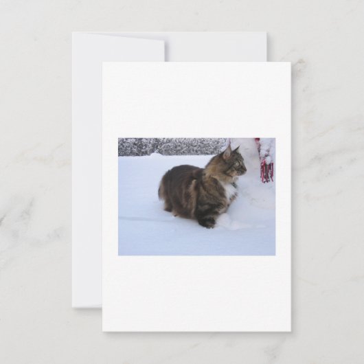 Carte chat des forêts norvégiennes dans la neige (Devant)