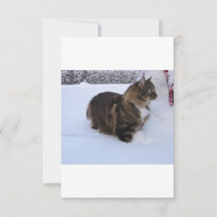 Carte chat des forêts norvégiennes dans la neige