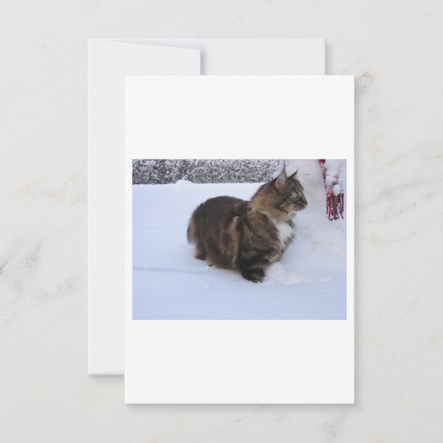 Carte chat des forêts norvégiennes dans la neige (Devant)