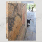 CARTE CHAT DÉTECTIF DERRIÈRE LE MUR DE PIERRE ( (Devant / Derrière)